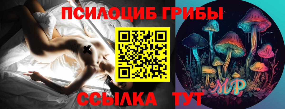 Псилоцибиновые грибы MAGIC MUSHROOMS Карачаевск