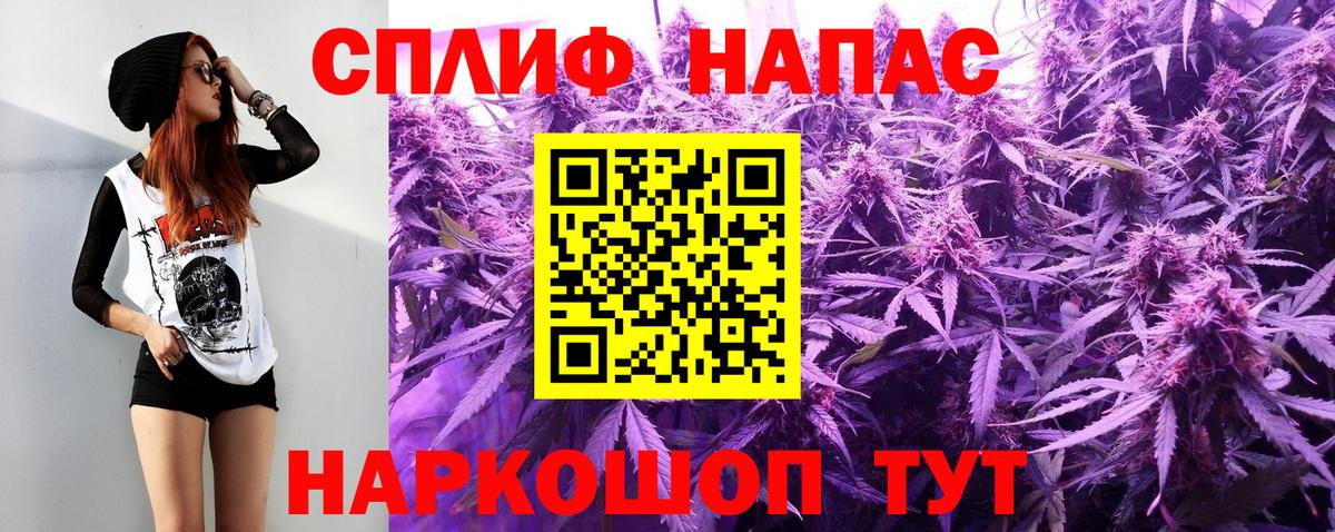 Бошки марихуана марихуана Карачаевск